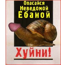 Парень решил познакомиться с девушкой, задав мозговзрывной вопрос