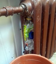 Это Россия, детка!