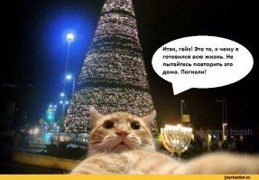 Очередная порция картинок с подписями