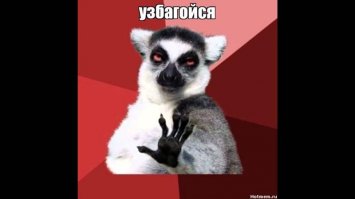 Очередная порция картинок с подписями