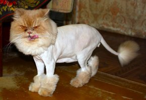 Когда она - та самая