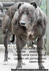 Смешные картинки с надписями