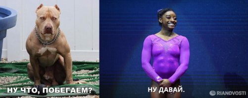 Смешные картинки с надписями