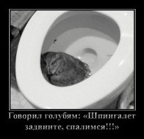 к 10-му пункту