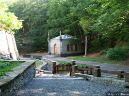 Позволю себе добавить  несколько фото.