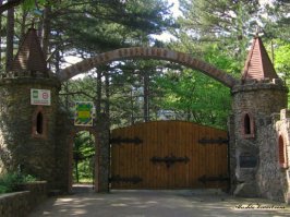 Позволю себе добавить  несколько фото.