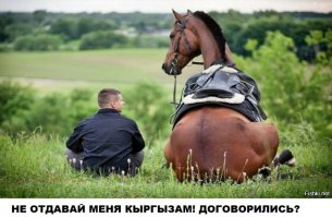 Роскачество пыталось найти полезную колбасу, а обнаружило ДНК лошади