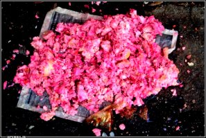 Сука, а вот тебе сельдь под шубой!