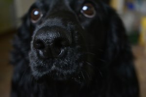 У нас тоже симпатиШный нос!=)