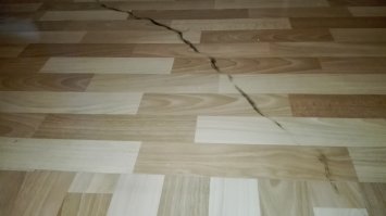 Ага, у меня так вообще задался сегодняшний денёк!
И кошка вот к вечеру порадовала...
Порадовала - так порадовала!