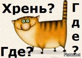 Как вырастить экологически чистые овощи