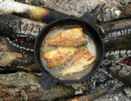 фото пойдёт?;)