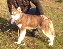 не братишка, а сестренка