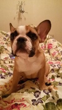 разница в  шесть месяцев.