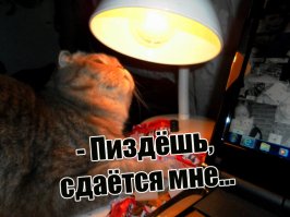 Бред, враньё и выдумка. 
Даже если сожрать Виагру, то енг не вздыбится сам по себе без сексуального возбуждения - это раз! Средство не вызывает сексуального возбуждения, эффективность таблеток наблюдается после естественного влечения к партнерше. 

Никакие испарения не могут эрегировать писюн, ибо силденафил, основной компонент Виагры, должен быть принят орально, т.е. употреблён путём сжирания, так сказать. Кроме того у всей деревни было бы в 90% случаев головная боль,  приливы  крови к лицу, головокружение, диспепсия, заложенность носа. Виагра первоначально была разработана как сердечное лекарство, а вышло вон оно как.

Так что -