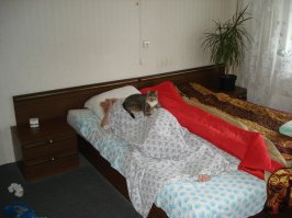 Эти ревнивые животные