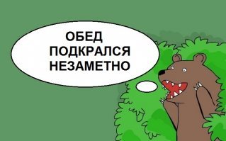 Антилопа-самоубийца решила пробежать через строй идущих по своим делам львов 