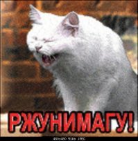 Кошмарные школьные задачи