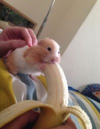 Приколы и шутки