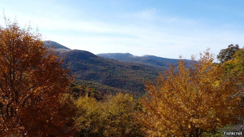 Аналогично, добавлю несколько фото.