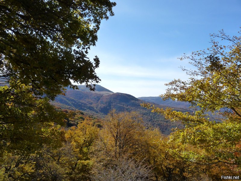 Аналогично, добавлю несколько фото.