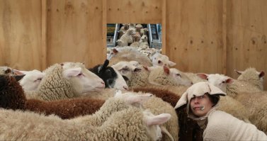 Подумал, что про выборы подборка.