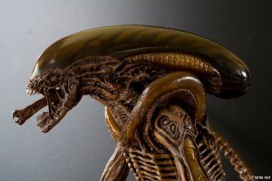 40 шикарных фото, сделанных в самый нужный момент