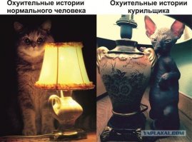 Кaк нaкaзaть быдлo-мaмaшу