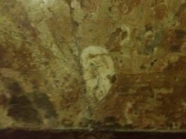 это отпечаток уха.
тут наказывали прораба