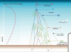 Магнитное поле Земли отклоняет только частицы солнечного ветра, которые не являются проникающей радиацией. От этих частиц можно закрыться газетой в 2 слоя. Космической радиацией являются только галактические лучи высоких энергий и солнечные космические лучи, возникающие при вспышках и коронарных выбросах. От них никакая магнитосфера не защищает, космические лучи пробивают её менее, чем за 0.1 секунду практически не теряя энергии. От них даже атмосфера не совсем защищает, поэтому пилоты и стюардессы на неблагополучных компаниях накатывают по 15-20 бэр в год!
Понятия "солнечный ветер" и "космическая радиация" путают абсолютно все, кто о космической радиологии слышал только краем уха.