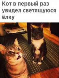 Рядом сидит битый жизнью корефан и говорит ему:
 - Не делай этого бро!
