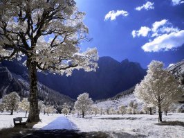 Это тоже мир в инфракрасном свете, но без тепловизора.