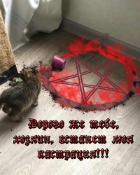 Победители по жизни: на их месте может быть любой из нас