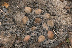 Картинки с подписями. Ностальгия