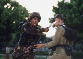 Индийская армия насчитывает 3,5 миллиона человек, в том числе 1,325 млн. активных военных. Численность армии дополняется практические 16 000 наземных транспортных средств, которые включают в себя 3500 танков, а также 1785 самолетов, наряду с ядерным оружием. Индийские баллистические ракеты могут поразить весь Пакистан или большую часть Китая. Нынешний военный бюджет составляет $ 46 млрд,, по правительство планирует увеличить эту сумму к 2020 году, а также модернизировать некоторое вооружение. 
Реальная индийская армия выглядит так: