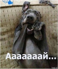 Фотоподборка за 08.12.2017