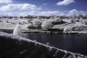 Моя проба пера))) Никон D70+ IR-фильтр перед обьективом.