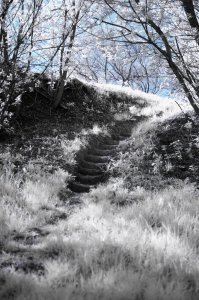 Моя проба пера))) Никон D70+ IR-фильтр перед обьективом.