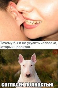 Смешные комментарии и высказывания из социальных сетей