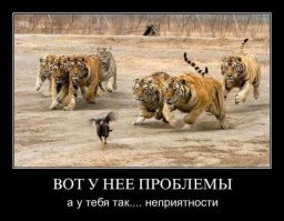 16 открыток для поклонников чёрного юмора