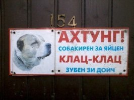 Прикольные фотки