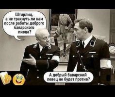 Шутки и прикольные истории