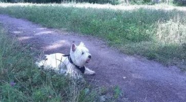 вот, вот какие надо было фотки выкладывать - старые добрые 2 мегапикселя, и никакой пост-коррекции в фотошопе! Реализъм!