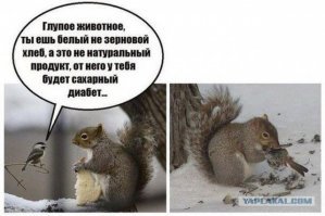 "Пруф или не было": невероятные моменты, которые удалось заснять на камеру