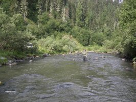 А как здорово там рыбку ловить....