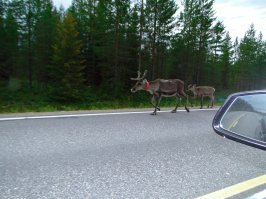 Ещё немного Финляндии