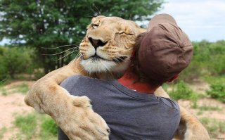 Всегда делай это не задумываясь: помогай ближнему своему