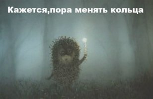 Большая  COUB'овая подборка