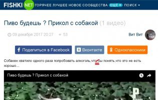 Пиво будешь ? Прикол с собакой