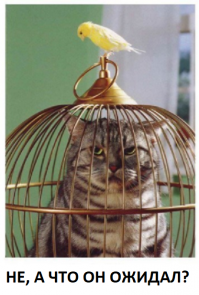 Смешные картинки с подписями!
